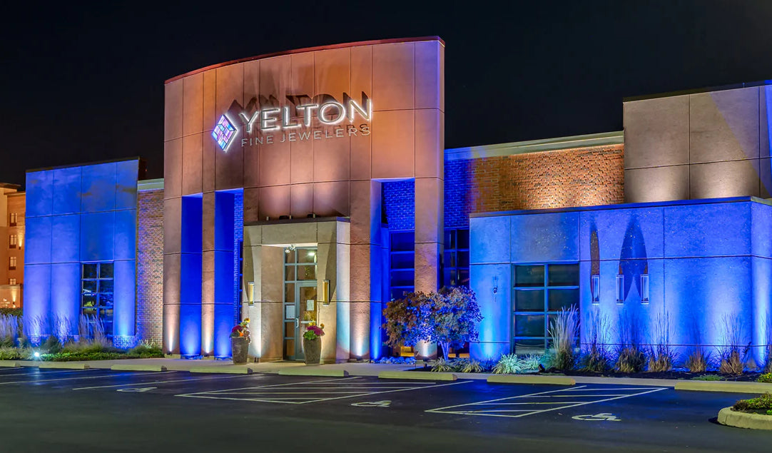 24V RGBW+50W Flood (3wire)