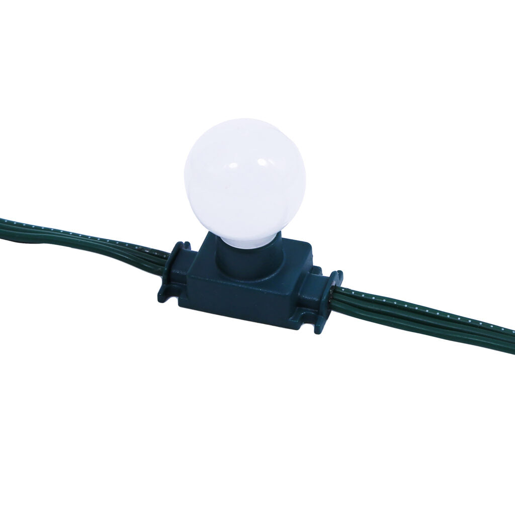 Bulbed Stringer RGB 24V Decorative Stringers -G30 clear bulb – Pebble-Lights